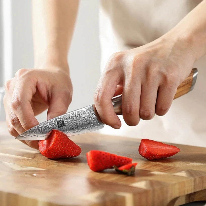 3.5″ Damascus Steel Paring Knife with 14Cr14MoVNb Powder-Steel Core